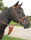 Race Martingale with Belly Protector/Brass Buckles/FULL-Tobacco