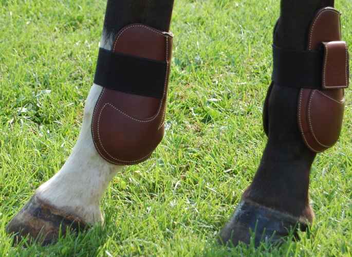 Horse Hind Boots
